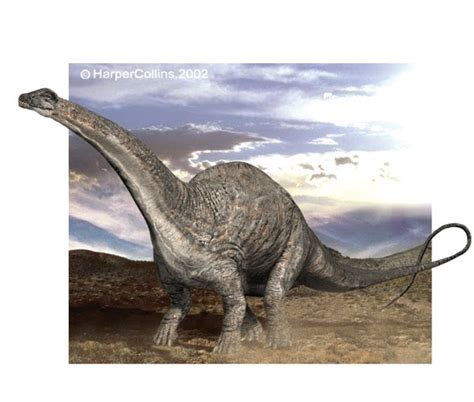 Há Milhoes De Anos Eles Existiam Dinossauros Apatosaurus
