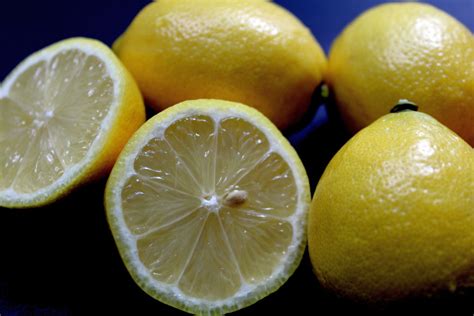 How To Grow A Lemon Tree From Seed Foolproof Steps And Plant Care Tips