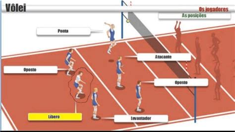 Quais As Posições Do Vôlei Conheça Cada Posição E Suas Funções Portal Zem