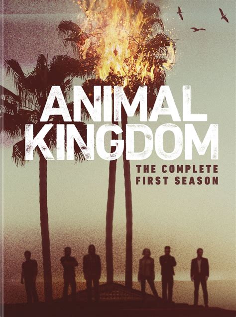 Animal Kingdom DVD Release Date