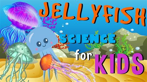 Jellyfish Science For Kids Youtube