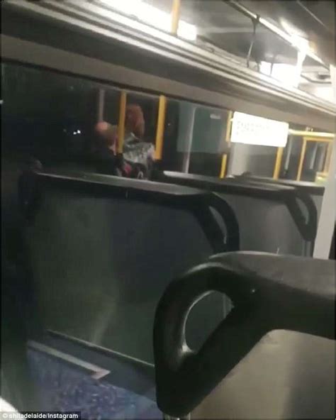 Couple Filmed Having Sex On Adelaide Bus By Another Passenger Daily Mail Online
