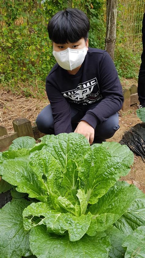 면회금지 입원인데 돈 달라고 신지 남친 최악. "배추벌레 처음보니 신기해요" 학교에서 텃밭 가꾸는 구미 옥 ...