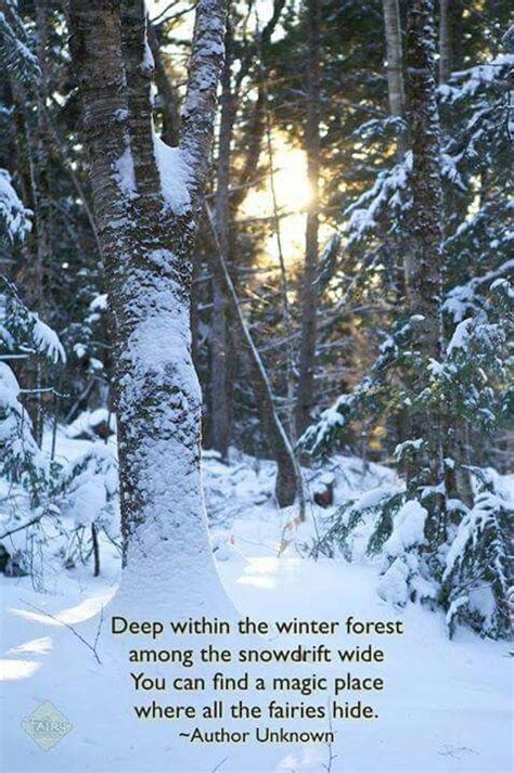 Deep Within The Winter Forest Among The Snow Drift Wide Fairy