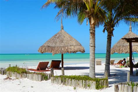 Tour To Holbox Island By Land From Cancún Riviera Maya 🏝 Holbox Island