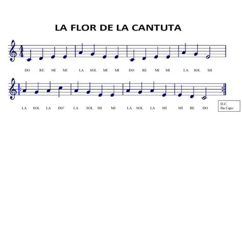 Músico Maestro De Música La Flor De La Cantuta