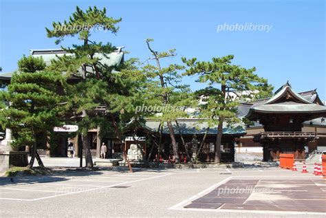 新潟市の白山神社 写真素材 986366 無料 フォトライブラリー Photolibrary