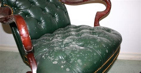 How to get mold out of clothes as a result, over time, colors fade and fabric weakens. Remove All Stains.com: How to Remove Mold from Leather