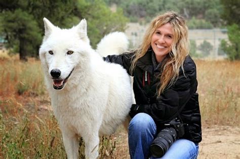 Hybrid Wolf Dog Breed Information With Pictures Tail And Fur
