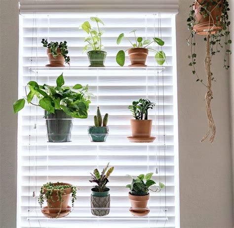 Indoorwindowgardens Window Hanging Plant Shelf