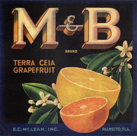 The Nostalgic Art Of Floridas Vintage Citrus Labels