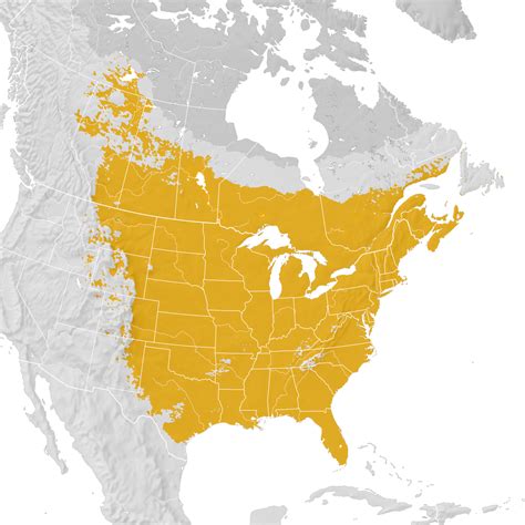 Common Grackle Range Map Pre Breeding Migration Ebird Status And