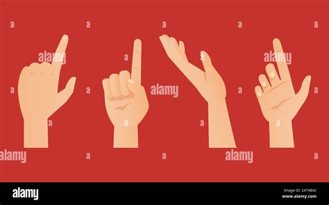 Hand Gestures In Different Positions Vector Illustration Arms In