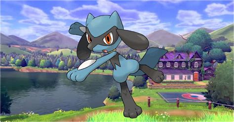 How To Evolve Riolu And 9 Other Facts About The Pokémon