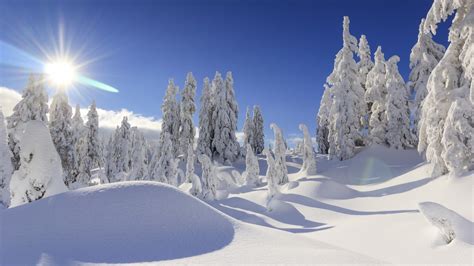 Wallpaper Winter Snow Mountains Sun 4k Nature 5219