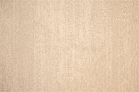 Abstract Light Beige Wood Texture Background Stock Image Image Of