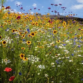 Henbury Hall House Garden