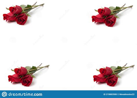 A Group Of Beautiful Red Roses On A White Background Stock Photo