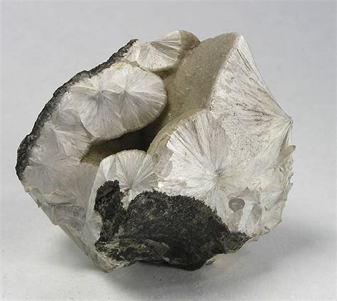 Pectolite Md 112882 Bergen Hill Usa Mineral Specimen