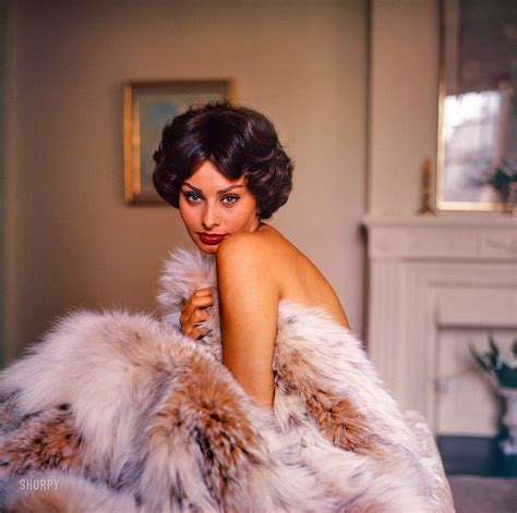 November 1961 Actress Sophia Loren Posing With A Fur Stole Color
