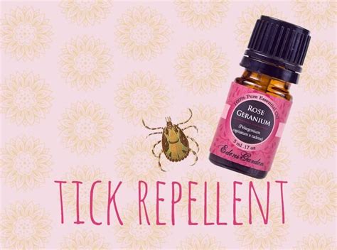 Essential Oil Tick Repellent Amy Tick Repellent Rose Geranium