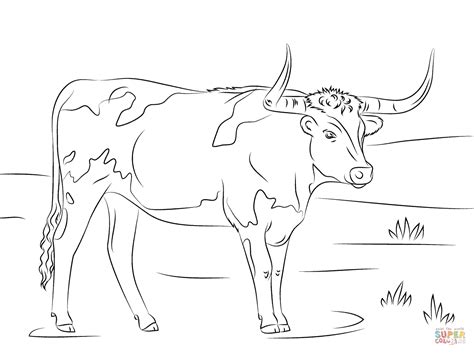 Some of the coloring page names are 38 best texas state symbols unit study images on baby books children books and, texas longhorn cattle cow coloring longhorn cattle animal coloring, tpwd kids texas symbols, texas longhorn steer decal sticker choose color large size lg438 ebay, texas longhorns coloring clipart full size clipart 891742. Longhorn coloring page | Free Printable Coloring Pages