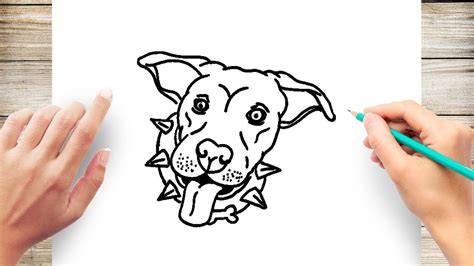 How To Draw A Pitbulls Head Step By Step Youtube