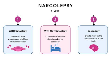 Is Narcolepsy Genetic The Science Behind Sleepiness