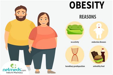 Causes Of Obesity