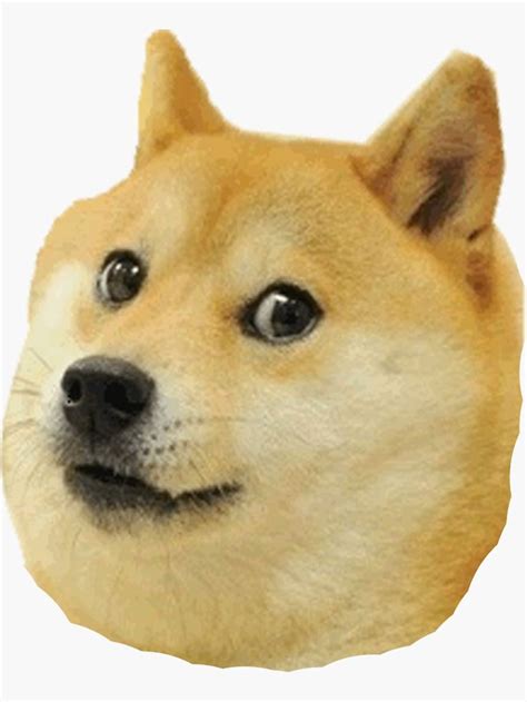 Shibe Doge Face Sticker By Catfantastic In 2021 Doge Meme Animal