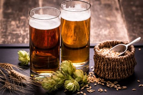 the science behind the beer and brewing industry