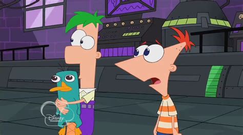 Perry And Ferbs Relationship Phineas And Ferb Wiki Fandom