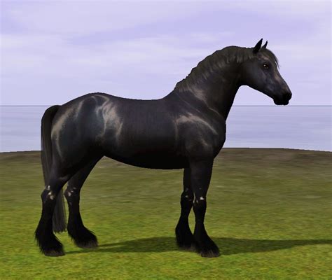 Download Sims 3 Height Slider Horse Revizionwholesale