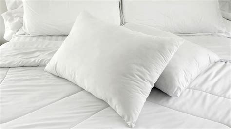 Homiboss White Cotton Bed Pillow Shape Rectangular Sizedimension 17 X 27 Inches At Rs 135