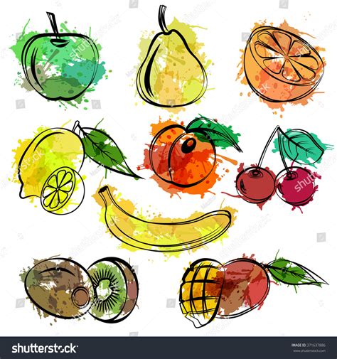 Set Sketch Fruits White Background Stock Vector Royalty Free