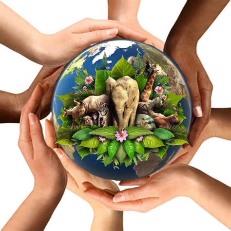 Download Earth In Hands Picture Free Transparent Image Hq