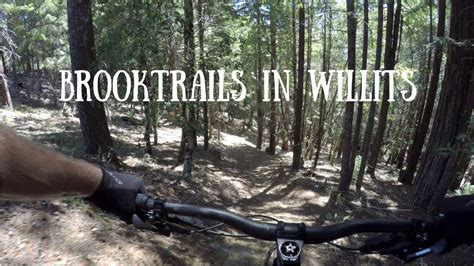Mountain Biking Brooktrails In Willits California Youtube