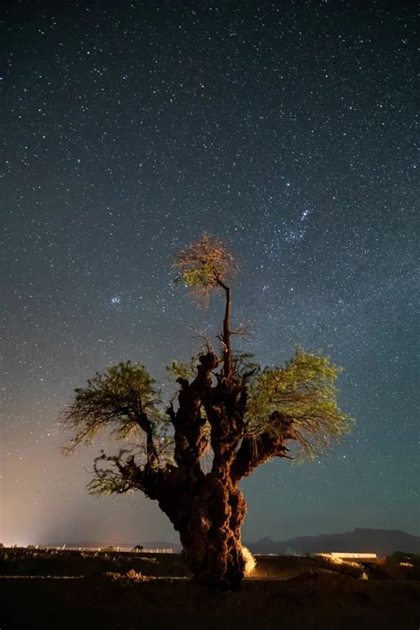 Stargazing In Chiles Atacama Desert Awasi Blog