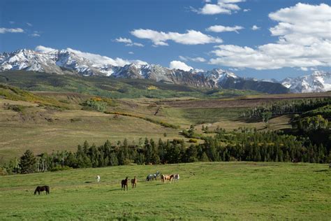 Horses Grazing In A Mountain Pasture Top Stock World Images