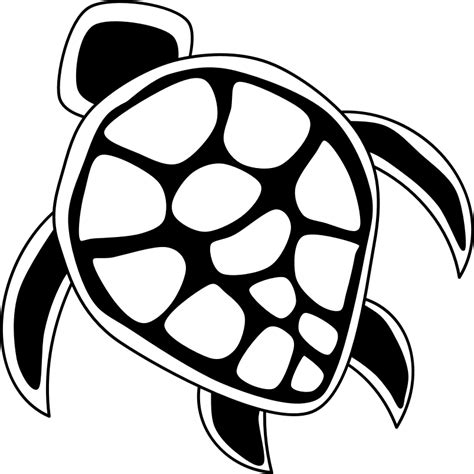 Sea Turtle Clipart Black And White Free Download On Clipartmag