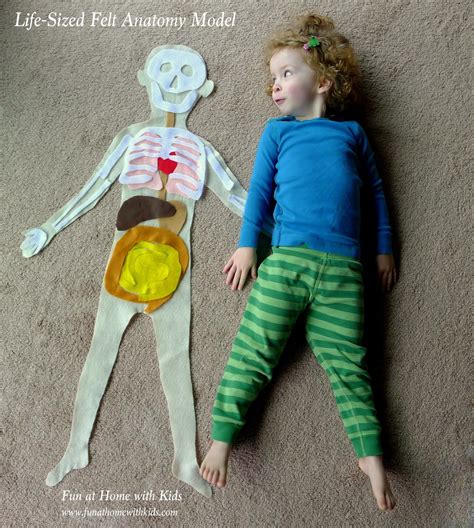 We did not find results for: Life-Sized Felt Anatomy Model