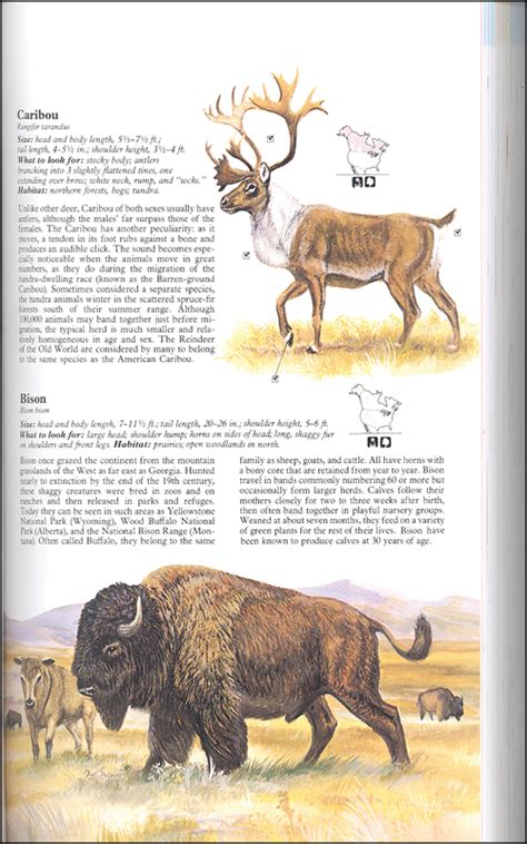 Readers Digest Guide To North American Wildlife Readers Digest