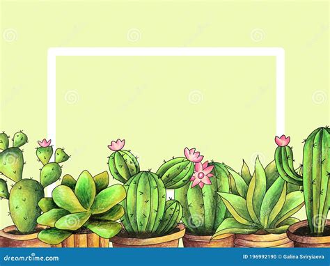 Cactus In Pots Set Hand Drawing Illustration Decorative Frame Stock