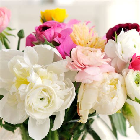 We did not find results for: Designer's Choice- Pastel Tones in Carlsbad, CA | Sunfresh ...