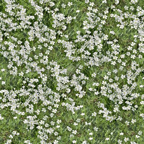 Pin By Daria Szalinska On Arch Presentation Resources Grass Texture Seamless Landscape