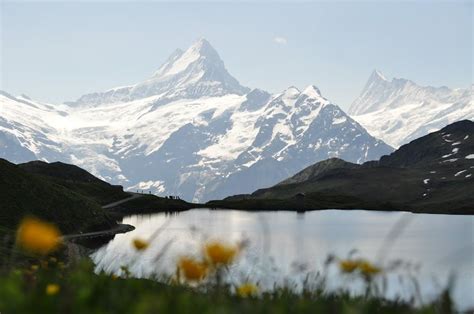 The Lake At Bachalpsee Near Grindelwald Switzerland Natural