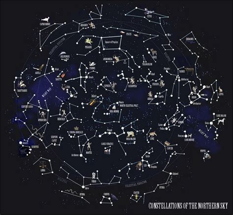 The Constellations Of The Northern Hemisphere