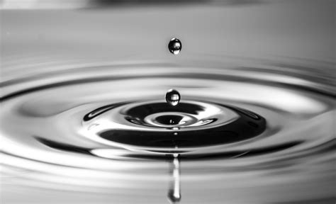 Free Images Droplet Liquid Black And White Wheel Water Drop Wet