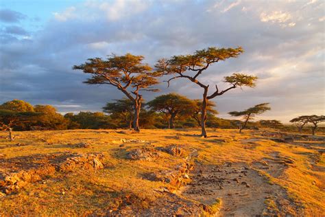 African Landscape Naturaleza Fotos Paisajes Fotografia
