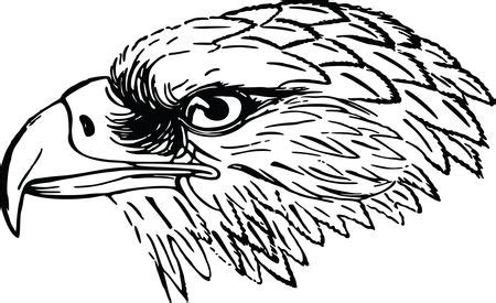 1024 x 1021 jpeg 157 кб. Free Clipart Of A Black and White Falcon or Eagle Head
